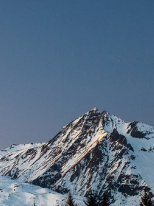 利来·国际(中国)最老牌-中国官网