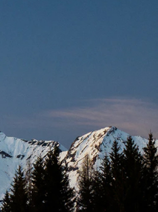 利来·国际(中国)最老牌-中国官网